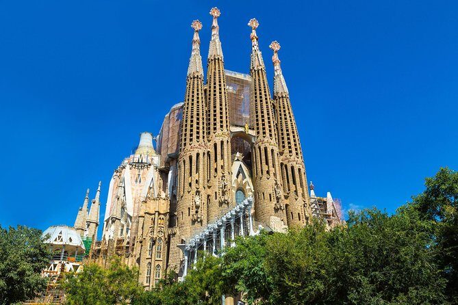Sagrada Familia Private Tour in Barcelona - Key Things You’ll Notice on This Sagrada Familia Tour